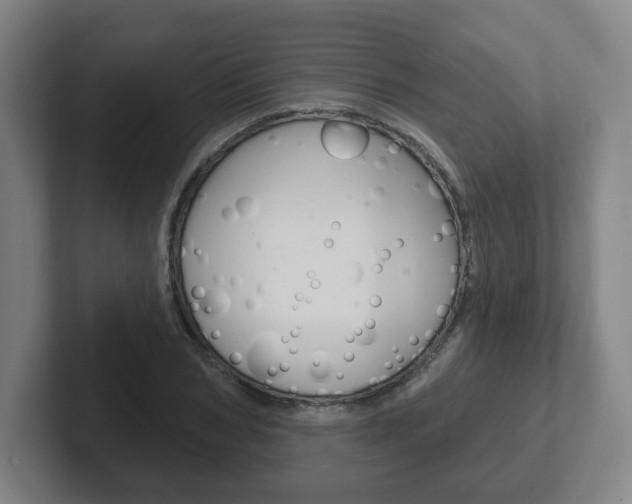 X0000102290978200807250957