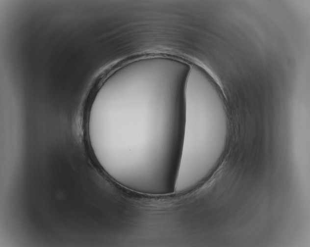 X0000102290979200807250957