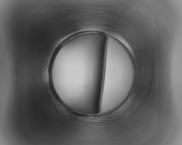 X0000102290980200807250957