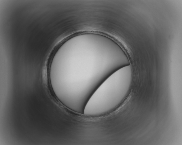 X0000102290982200807250957