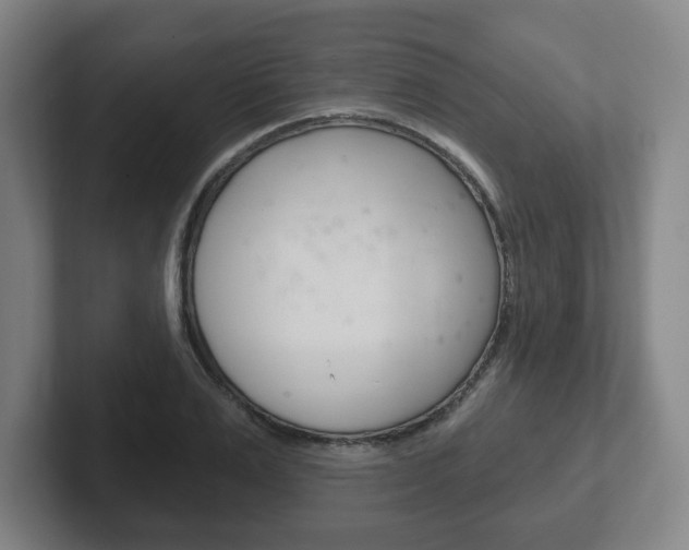 X0000102290983200807250957