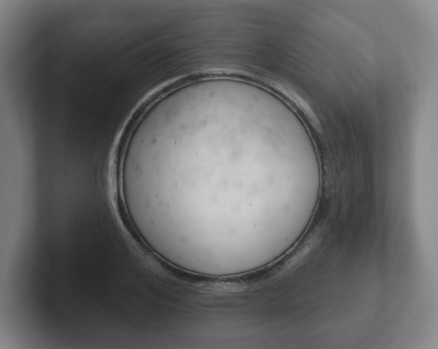 X0000102290984200807250957