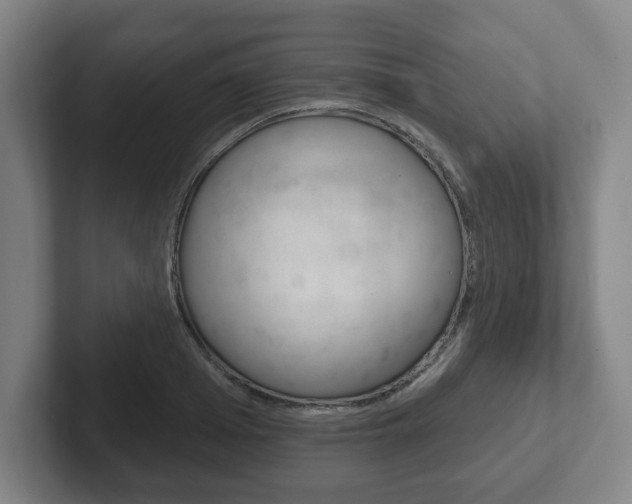 X0000102290985200807250957