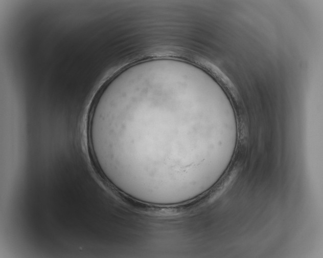 X0000102290986200807250957