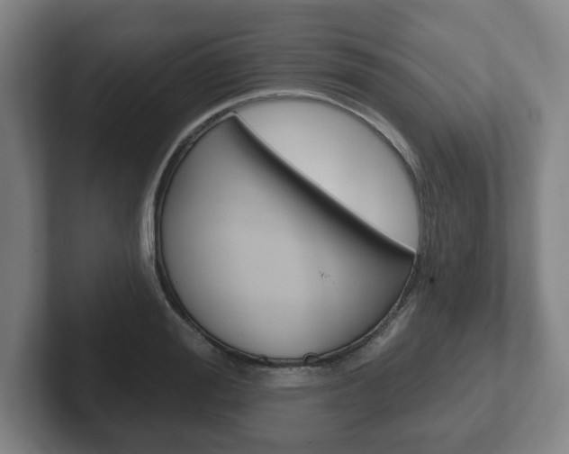 X0000102290988200807250957