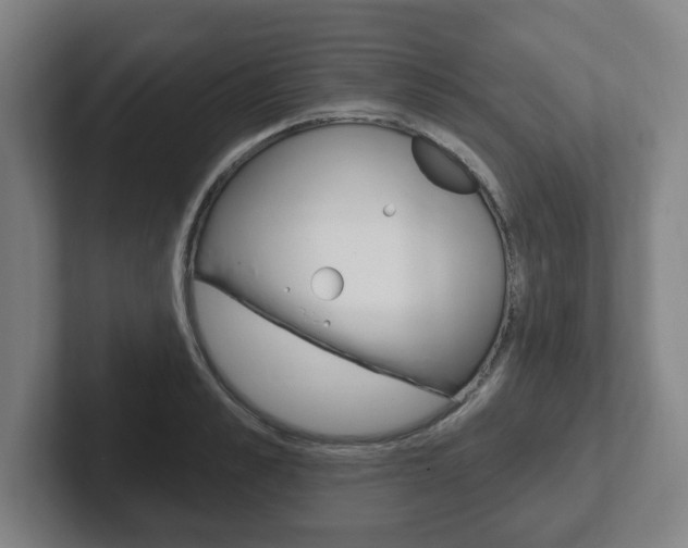 X0000102290989200807250957