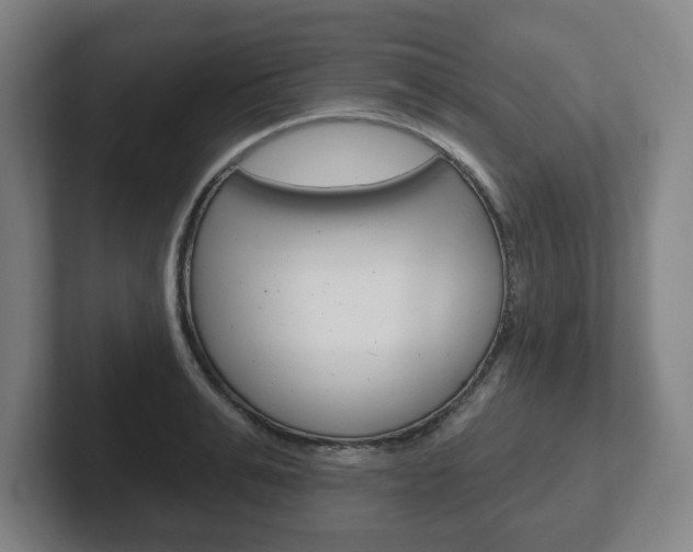 X0000102290991200807250957