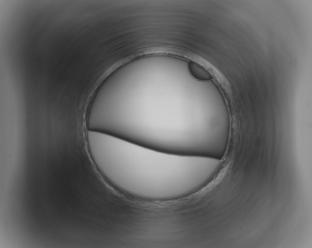 X0000102290993200807250957