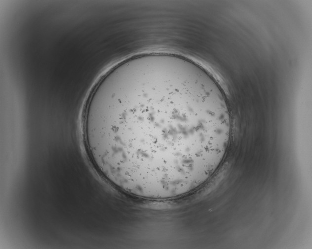 X0000102290998200807250957
