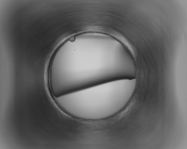 X0000102290999200807250957