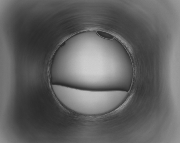 X0000102291001200807250957