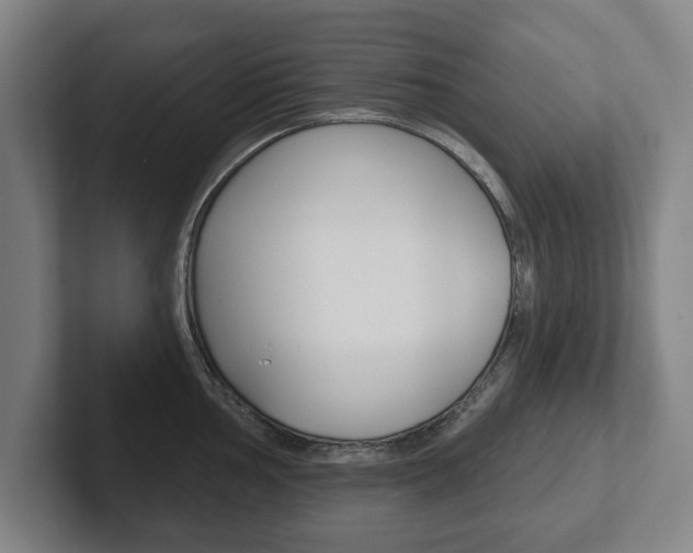 X0000102291002200807250957