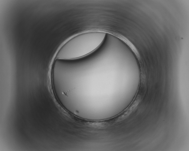 X0000102291004200807250957