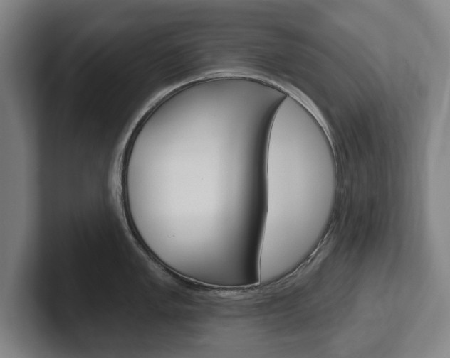 X0000102291005200807250957