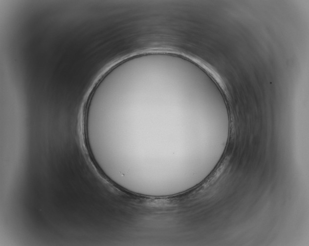 X0000102291006200807250957
