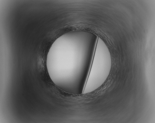 X0000102291010200807250956