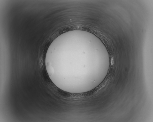 X0000102291011200807250956