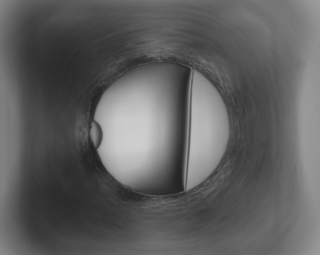X0000102291012200807250956