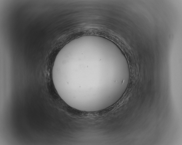 X0000102291013200807250956