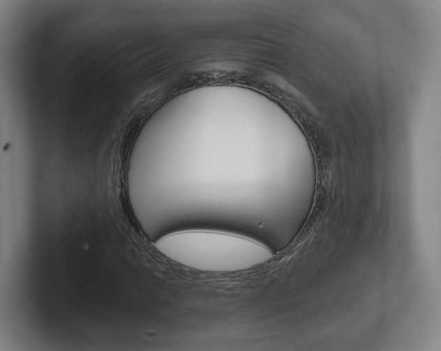 X0000102291014200807250956
