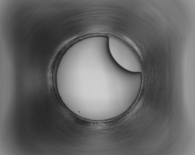 X0000102291019200807250957