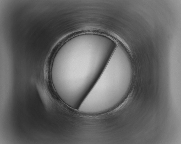X0000102291021200807250957