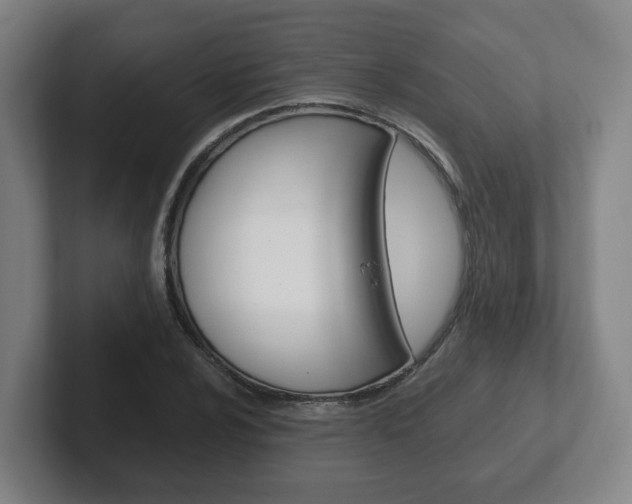 X0000102291024200807250957