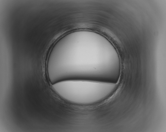 X0000102291025200807250957