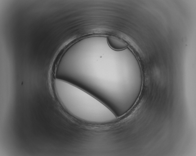 X0000102291026200807250957