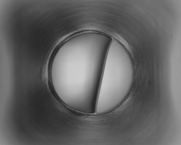 X0000102291028200807250957