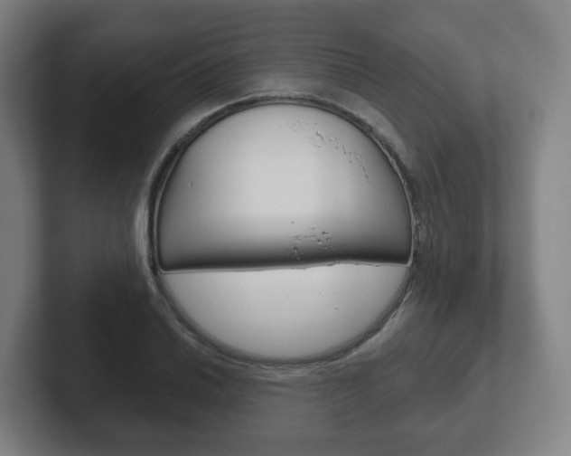 X0000102291030200807250957