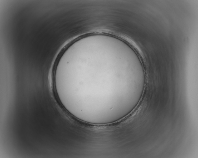 X0000102291032200807250957