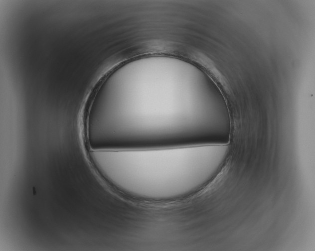 X0000102291034200807250957