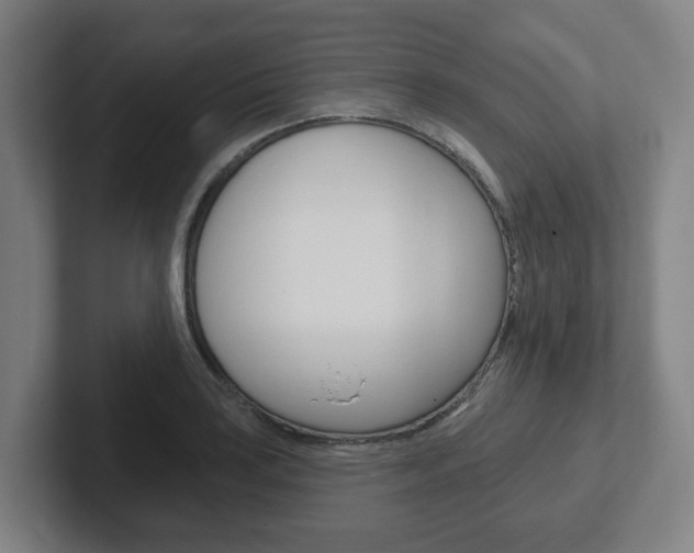 X0000102291035200807250957