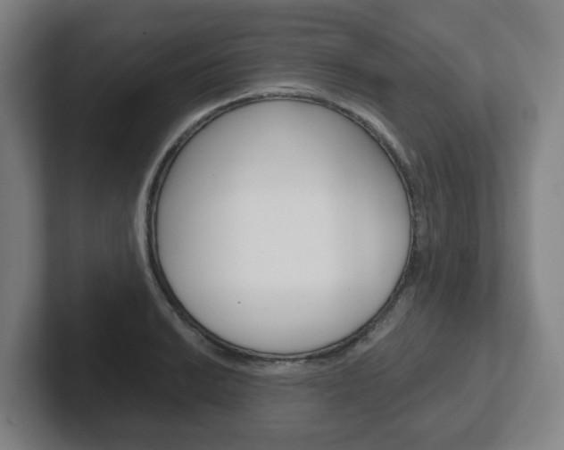X0000102291038200807250957