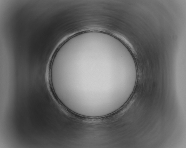 X0000102291040200807250957