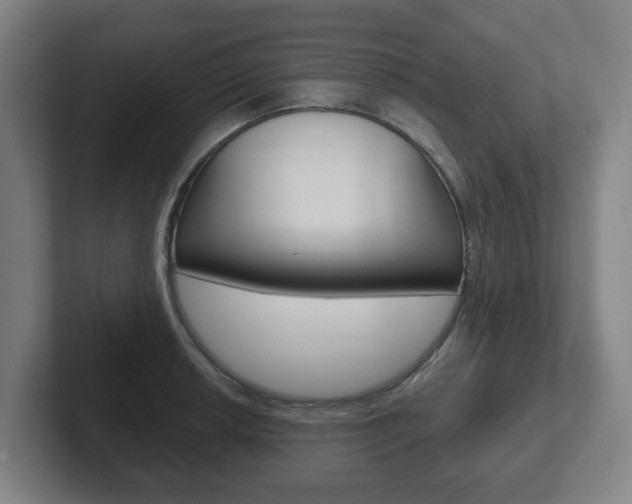 X0000102291042200807250957