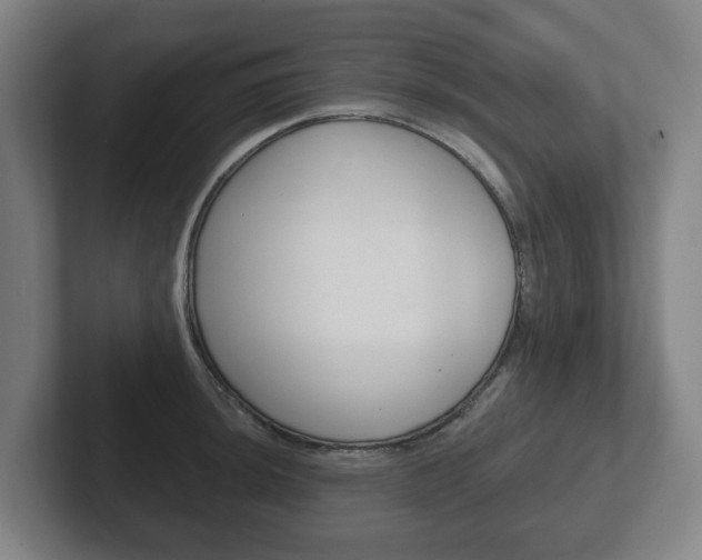 X0000102291044200807250957