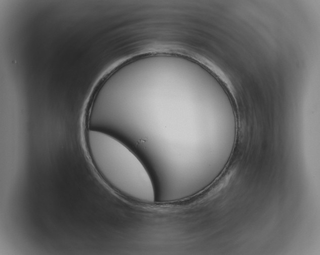 X0000102291045200807250957
