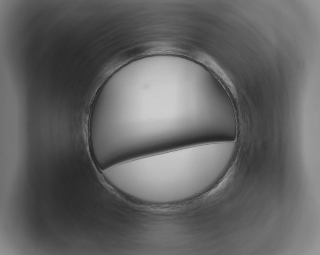 X0000102291049200807250957