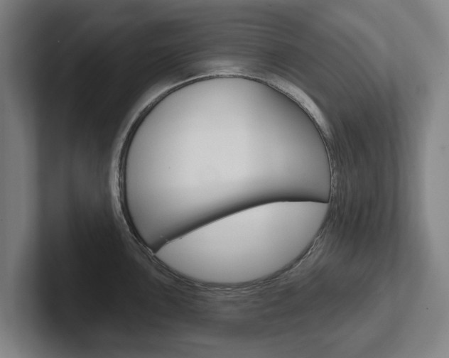 X0000102291051200807250957