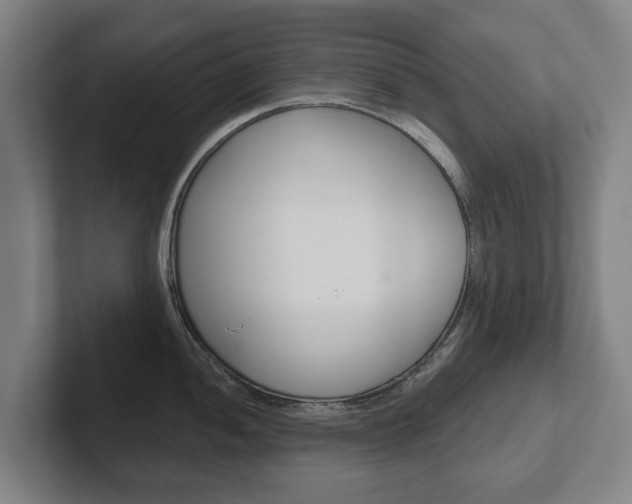 X0000102291052200807250957