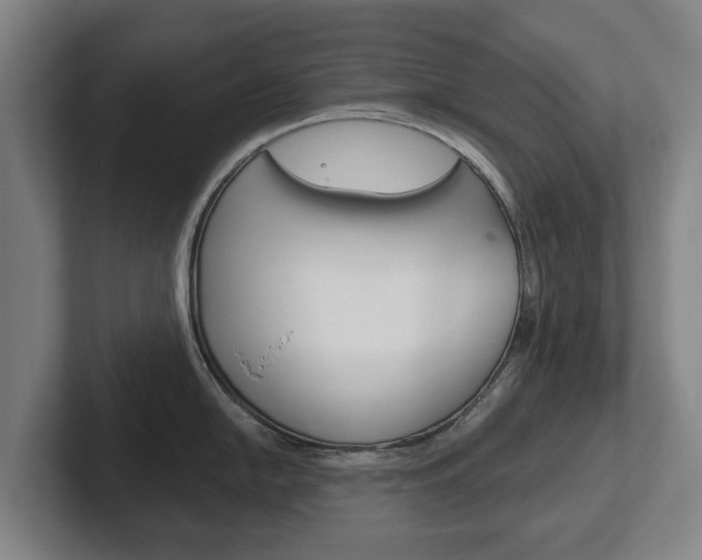 X0000102291054200807250957