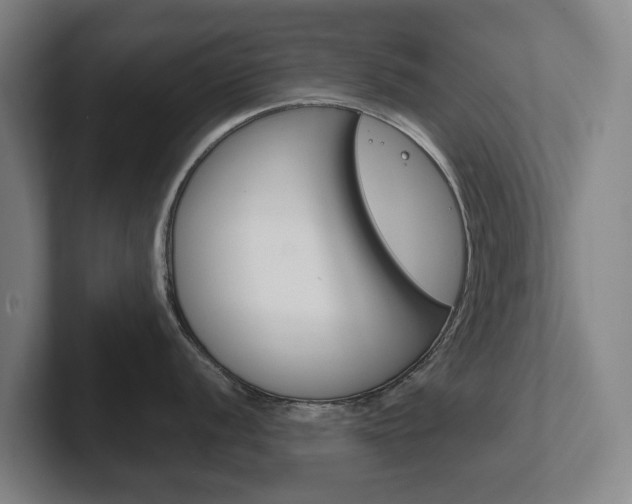 X0000102291056200807250957