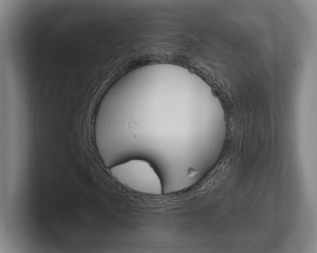 X0000102291057200807250956