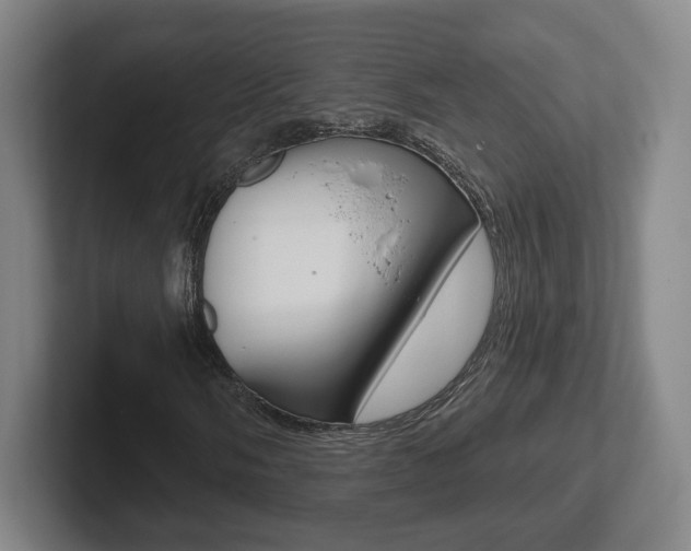 X0000102291058200807250956