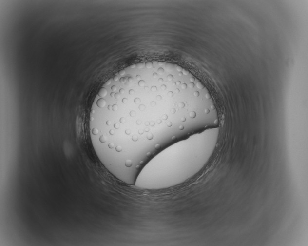 X0000102291059200807250956