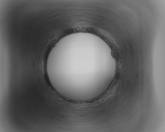 X0000102291060200807250956