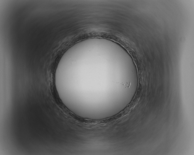 X0000102291061200807250956