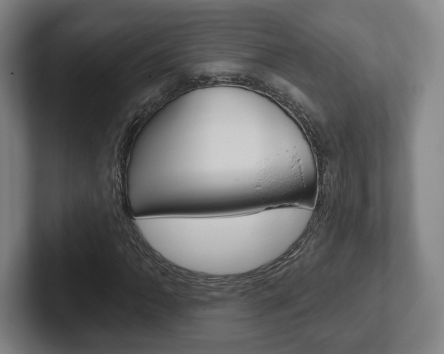 X0000102291062200807250956